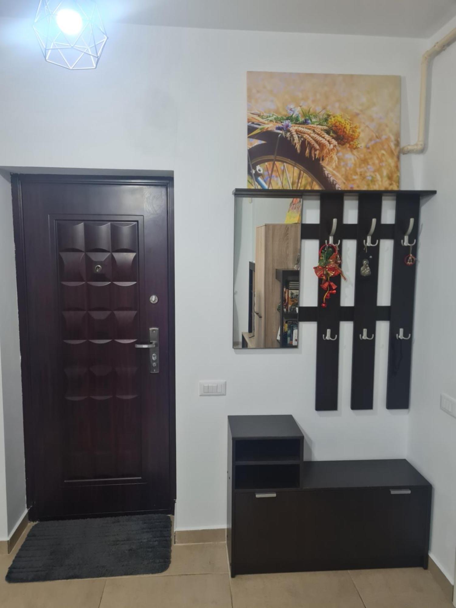 Luxury 1 Bedroom Apartment Roşu エクステリア 写真