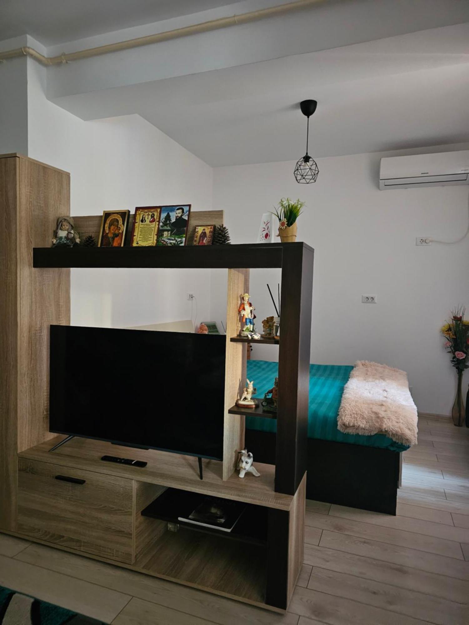 Luxury 1 Bedroom Apartment Roşu エクステリア 写真